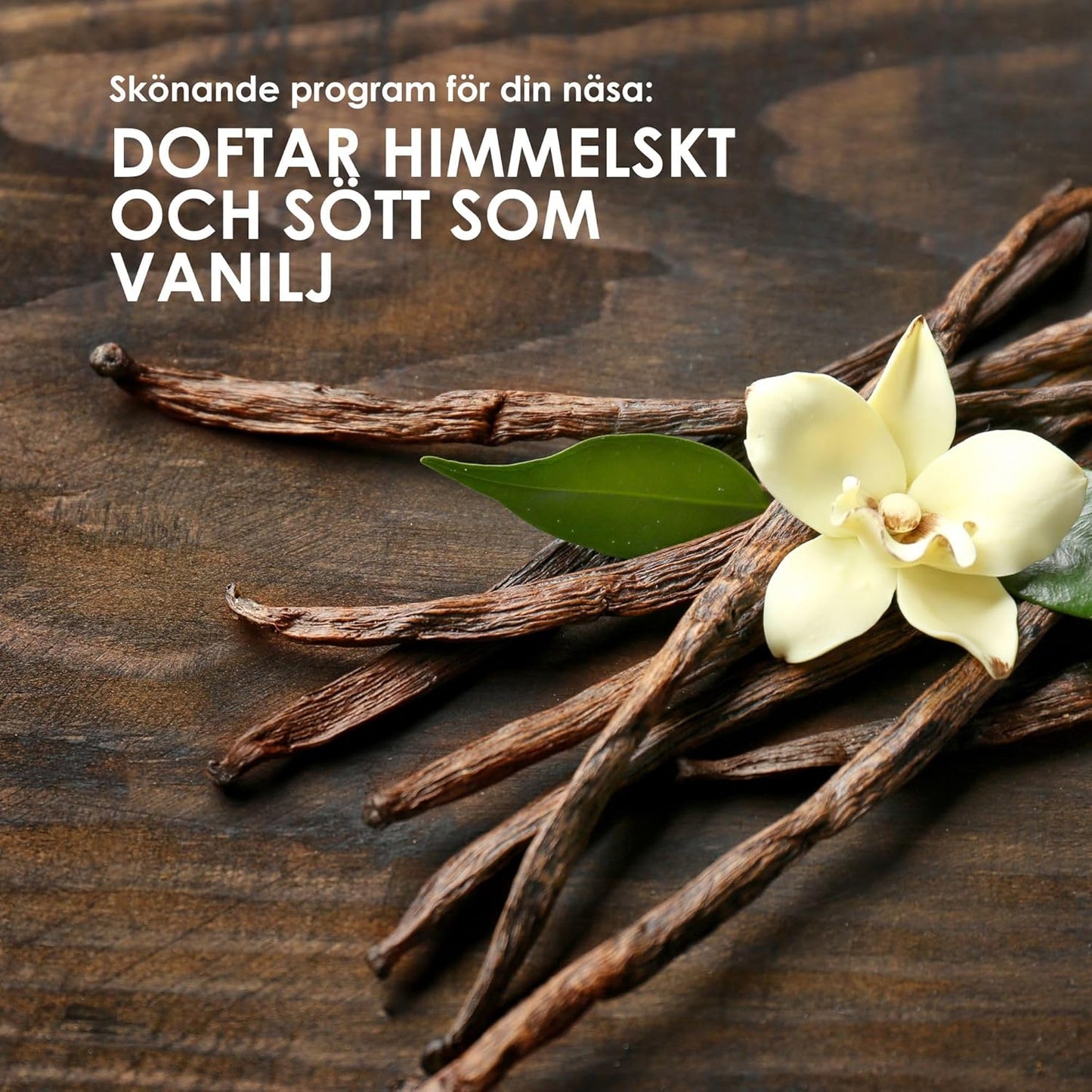 Shampoo Date & Vanilla, för kraftigt skadat hår, gör att håret ser starkare och glansigare ut, med vaniljdoft, schampo utan silikoner & parabener, vegan, 300 ml